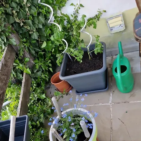 Apartment Relax Pur In Der I Adenbach