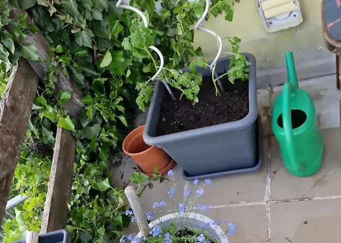 Apartamento Relax Pur In Der I Adenbach