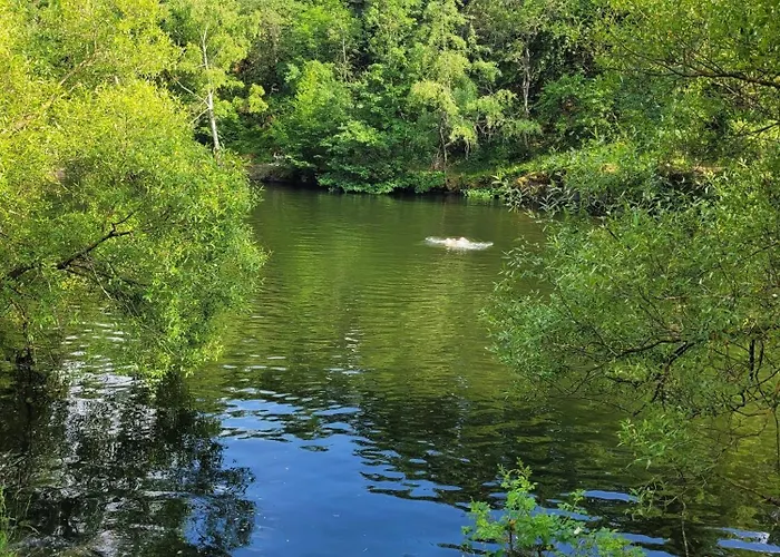Relax Pur In Der I Apartment *